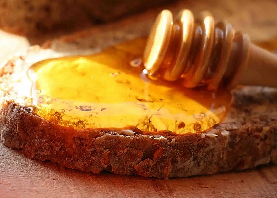 Immagine non trovata