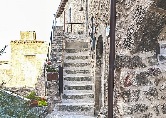 Immagine non trovata