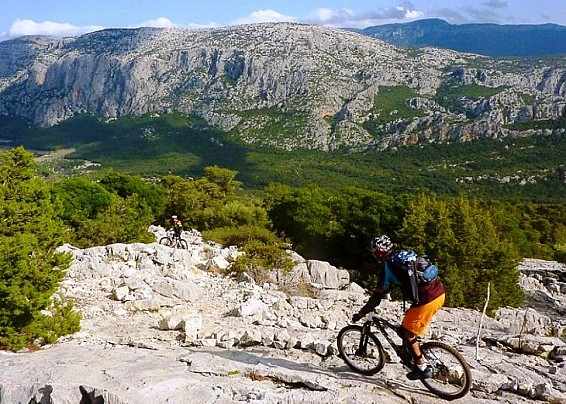 Immagine non trovata