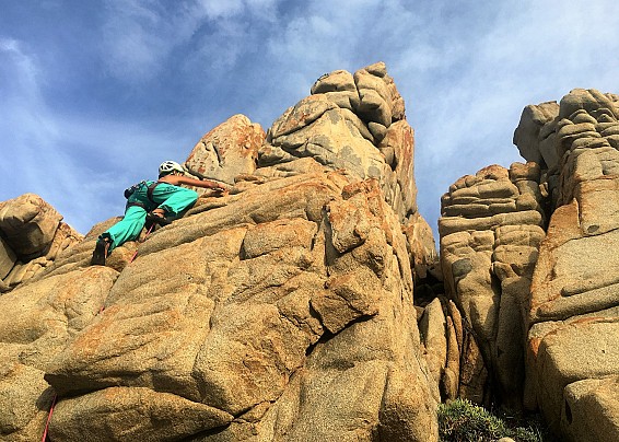 Immagine non trovata