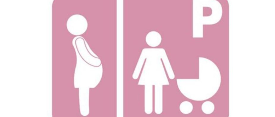 Immagine principale