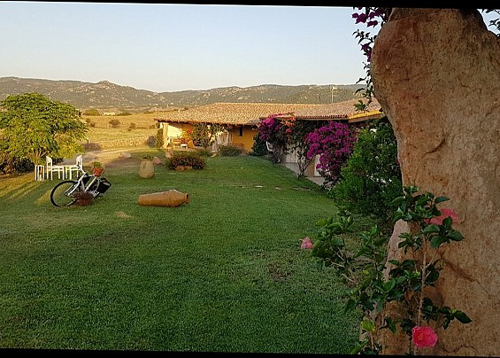 Immagine non trovata