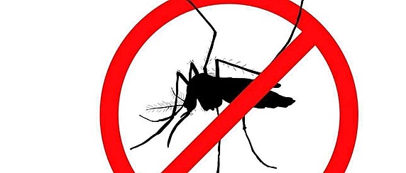 Avviso disinfestazione aree verdi