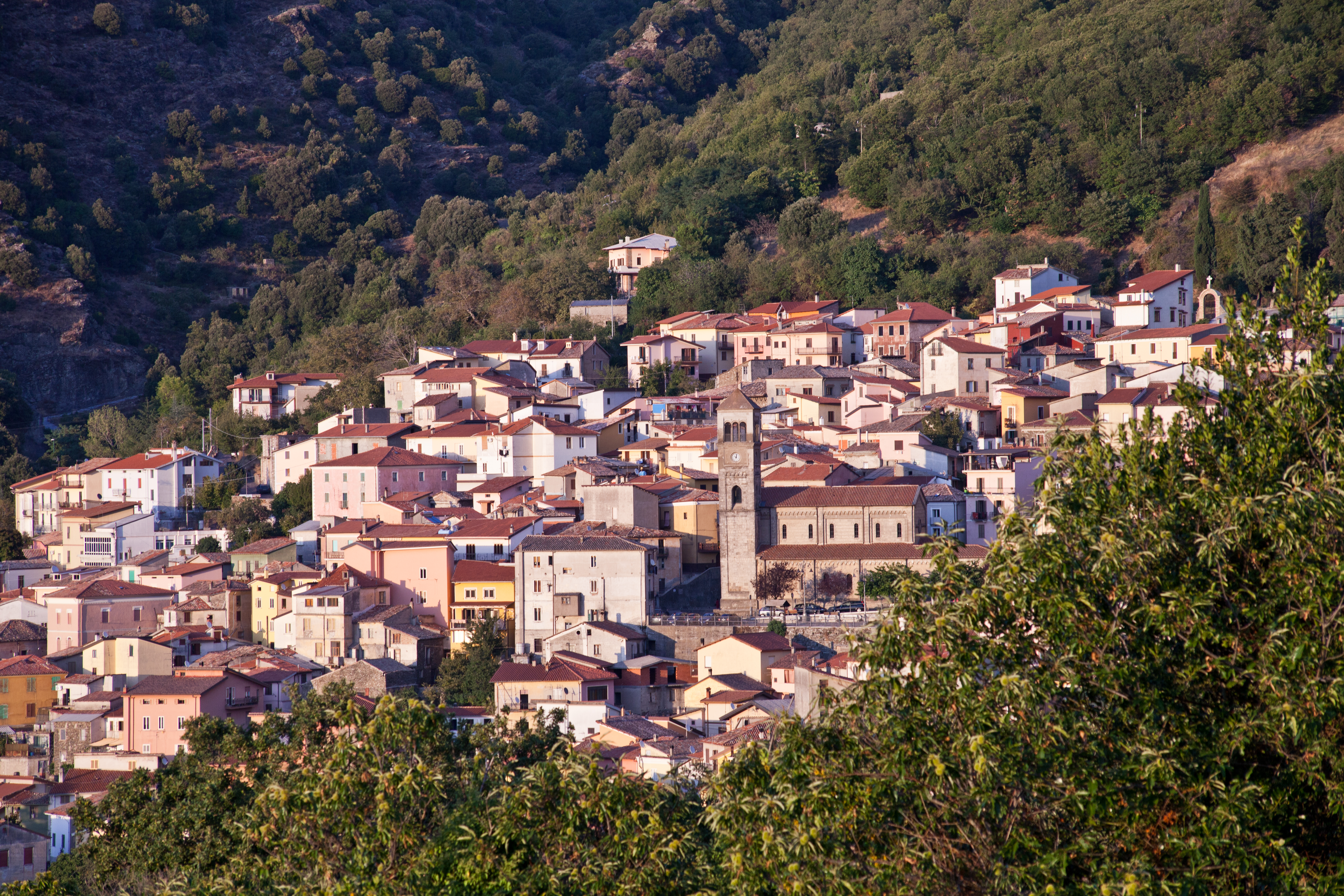 Panorama