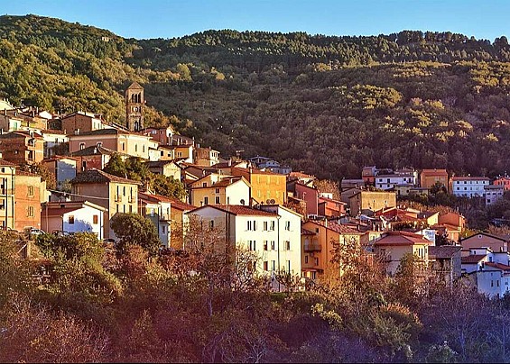 Immagine non trovata