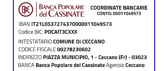 IBAN e pagamenti informatici