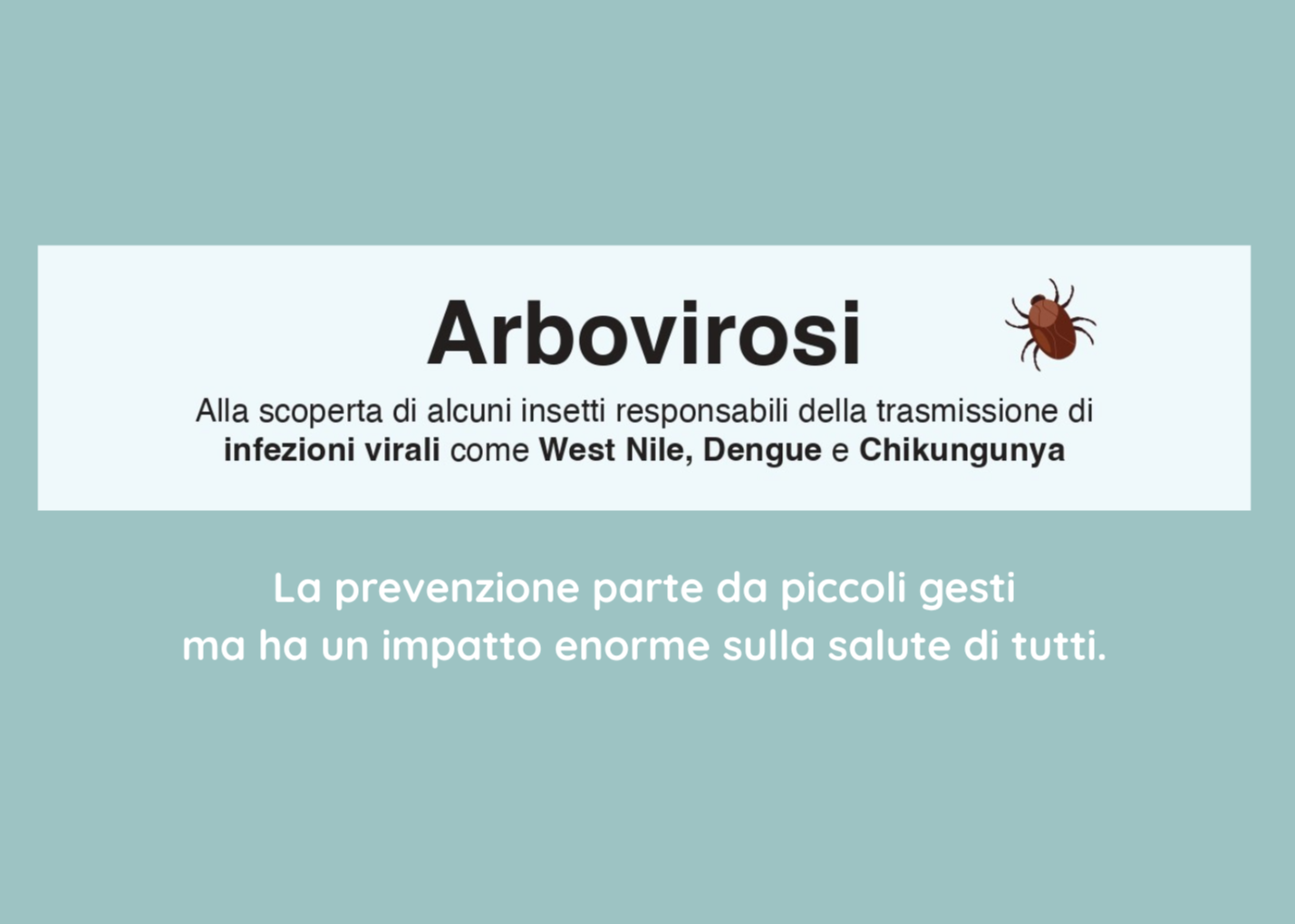West Nile, Chikungunya, Dengue, Zika: la prevenzione delle arbovirosi