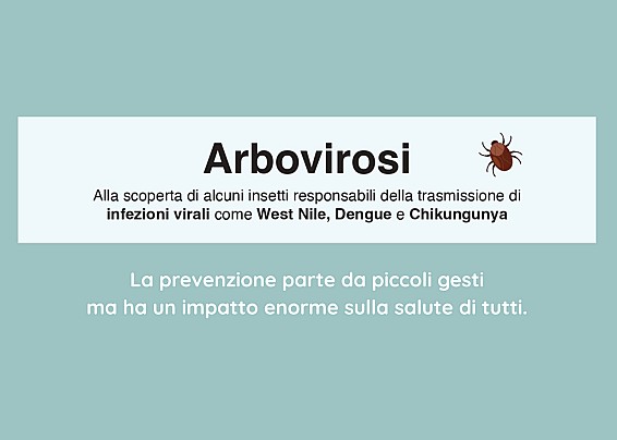 West Nile, Chikungunya, Dengue, Zika: la prevenzione delle arbovirosi