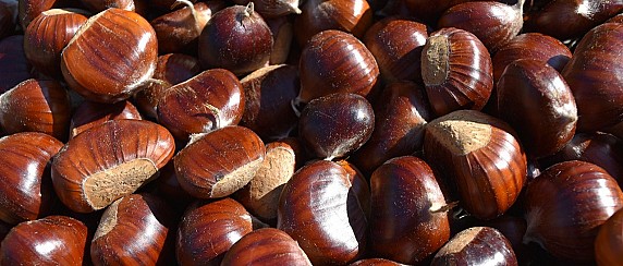 Realizzazione della 53° Sagra delle castagne e delle nocciole - Anno 2025