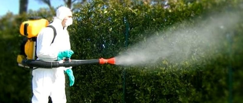AVVISO DISINFESTAZIONE