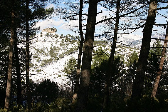 texile-innevato