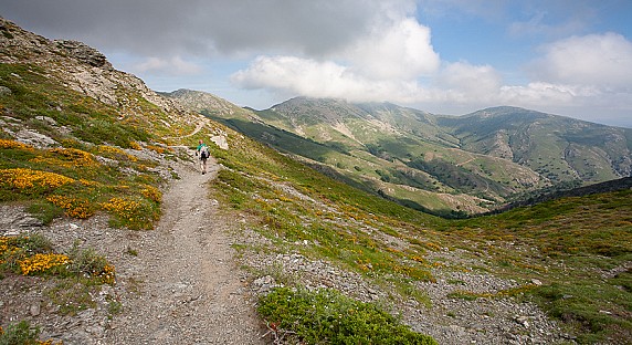 721- Sui pendii occidentali del Bruncu Spina