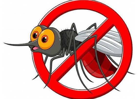 AVVISO: DISINFESTAZIONE ADULTICIDA