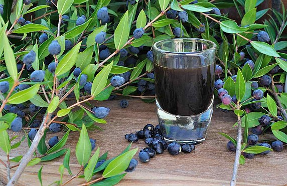 mirto-di-sardegna