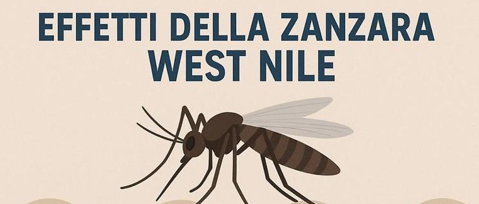 Misure di prevenzione del virus della West Nile Disease (WND) e dall'Usutu