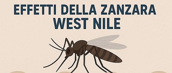 Misure di prevenzione del virus della West Nile Disease (WND) e dall'Usutu