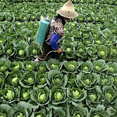 Credito d'imposta formazione giovani imprenditori agricoli: come si prende