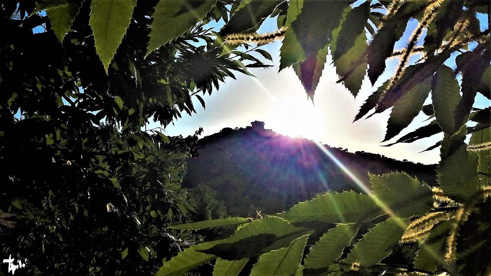 Aritzo-natura-Foto-gentilmente-concessa-da-Tonino-Pili-Aritzo
