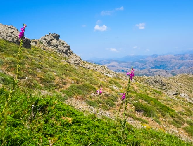 Aritzo_Gennargentu_481972996_c_iStock