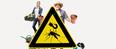 PREVENZIONE E CONTROLLO DELLE ZANZARE NELLE AREE URBANE E PREVENZIONE VIRUS WEST NILE