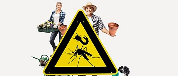 PREVENZIONE E CONTROLLO DELLE ZANZARE NELLE AREE URBANE E PREVENZIONE VIRUS WEST NILE