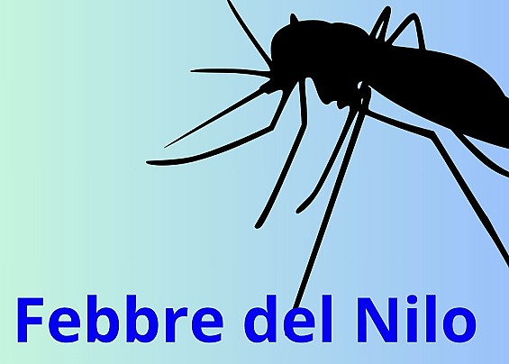 Materiale informativo sulla prevenzione del contagio da Febbre del Nilo