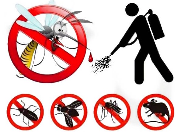 DISINFESTAZIONE TERRITORIO COMUNALE 12.08.2025 DALLE ORE 24.00