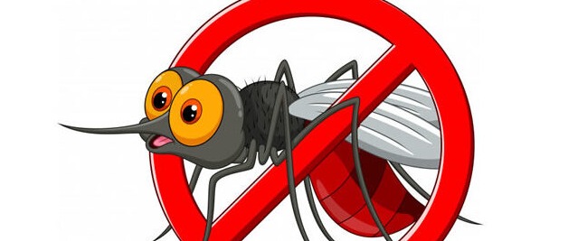 Intervento di disinfestazione da zanzare