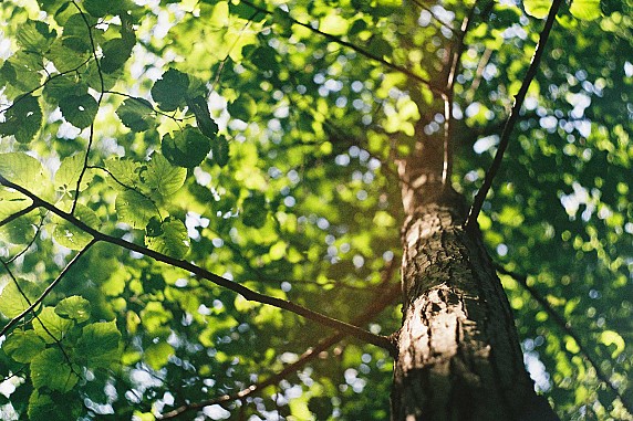 Regolamento concorso fotografico anno 2025