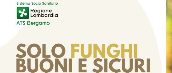 Immagine principale