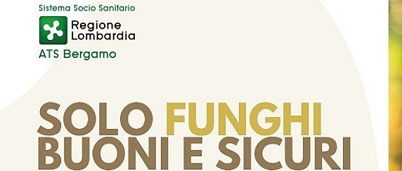 Solo funghi buoni e sicuri