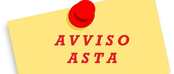 Avviso di asta pubblica per l’assegnazione, in concessione d’uso per anni 99, di area cimiteriale con sovrastante tomba nel cimitero di Dosolo