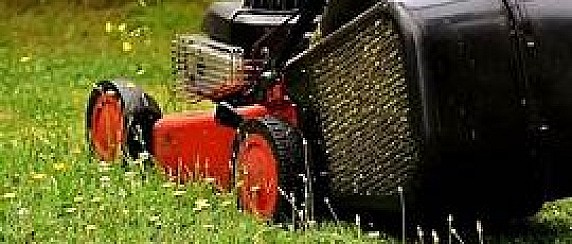 SMALTIMENTO RIFIUTI ERBA DA TAGLIO