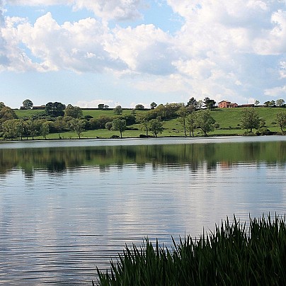 lago