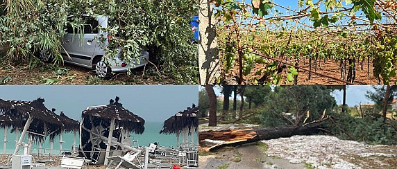 Ricognizione dei danni subiti a seguito degli eventi meteorologici straordinari del 03 agosto 2025