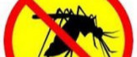 Dezanzarizzazione territorio comunale