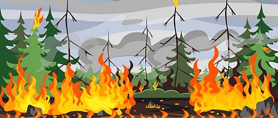 INCENDI BOSCHIVI.... il caldo e la siccità prolungata innalzano il livello di ALLERTA