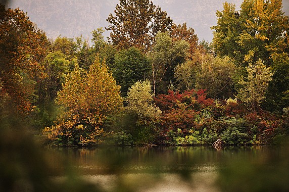 21 - Colori autunnali