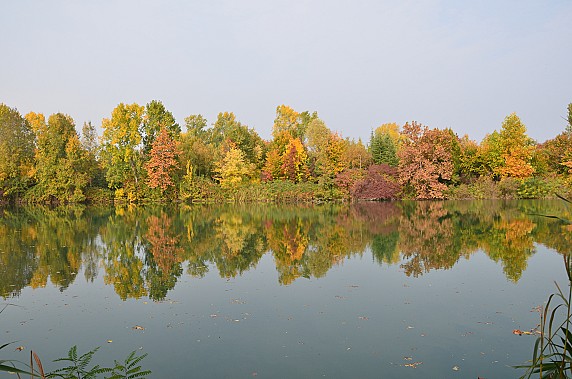 60 - colori d'autunno