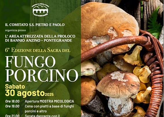 Immagine non trovata