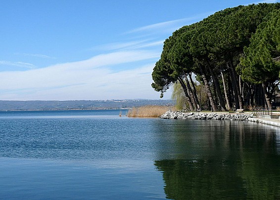 Immagine non trovata