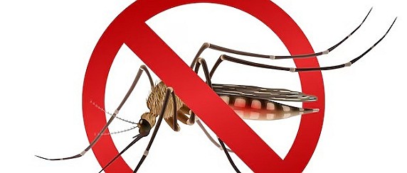 AVVISO: DISINFESTAZIONE ADULTICIDA CONTRO LE ZANZARE