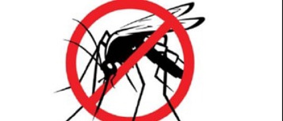 LOTTA PER IL CONTENIMENTO DELLE ZANZARE E DEGLI INSETTI VETTORI