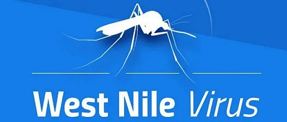 Circolazione del virus West Nile