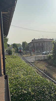 IMG_6922