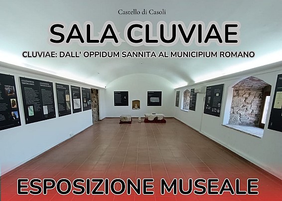 Immagine non trovata