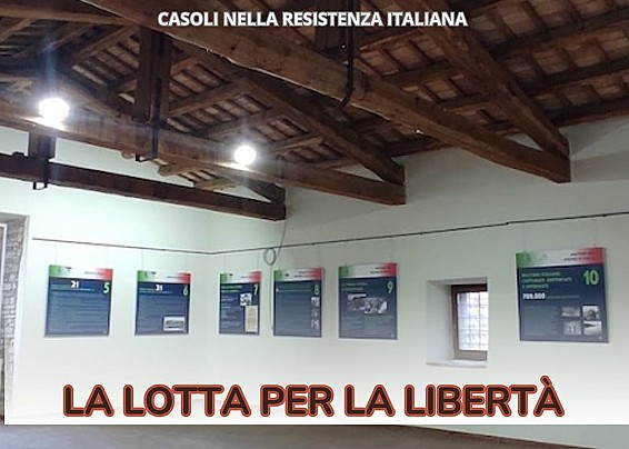 Immagine non trovata