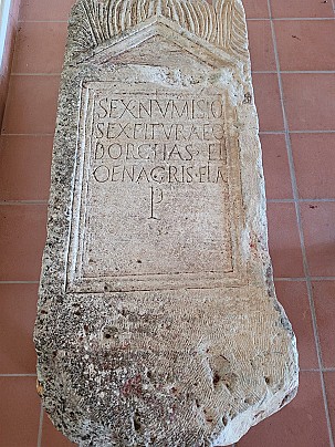 Immagine WhatsApp 2025-08-14 ore 14.31.37_c0033e63