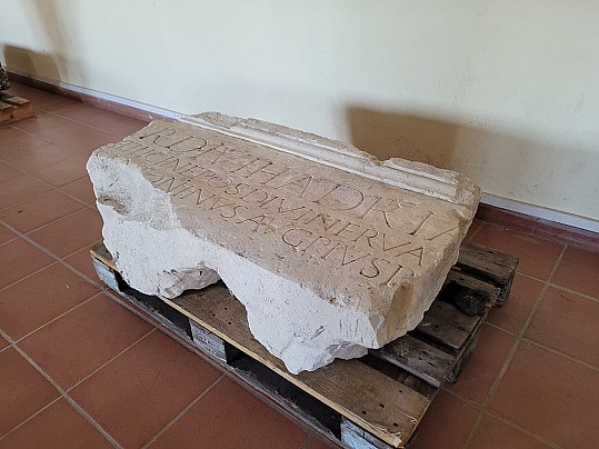 Immagine WhatsApp 2025-08-14 ore 14.31.34_693ccc30