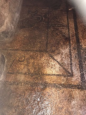 Immagine WhatsApp 2025-08-14 ore 14.31.34_080d85dc